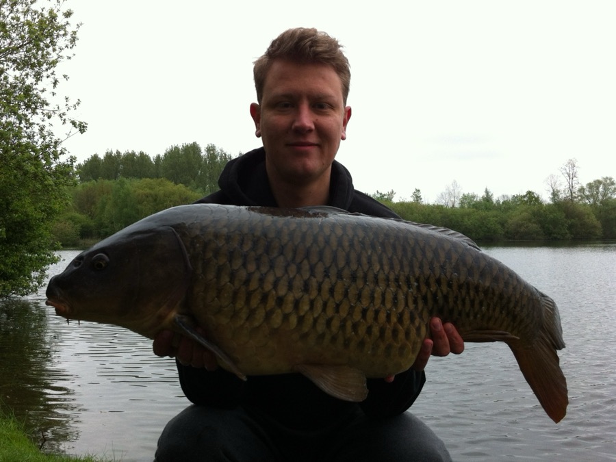 Carp shared by smeuldario