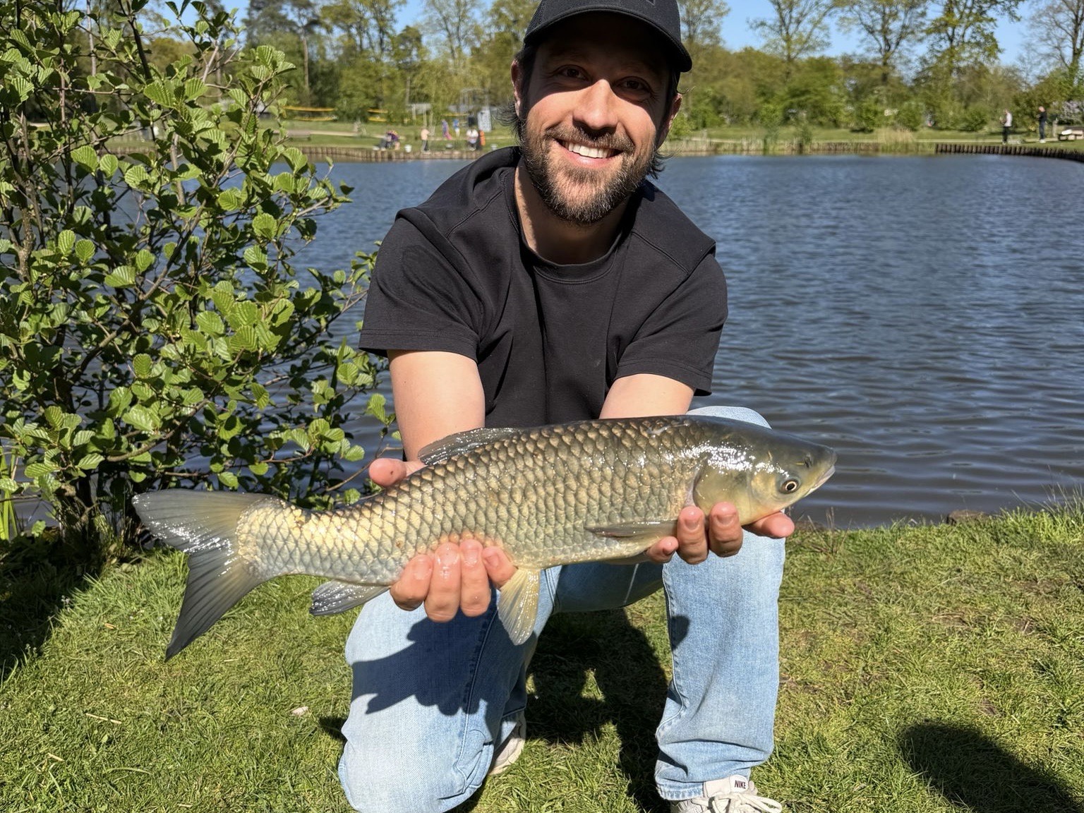 Grass carp shared by kingfisher