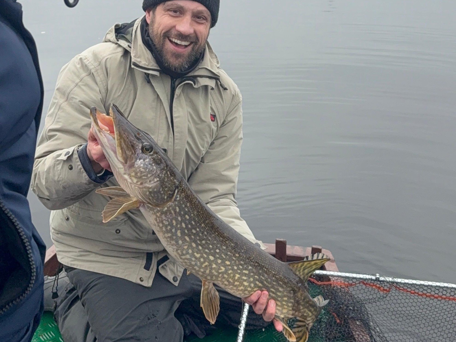 Pike shared by kingfisher